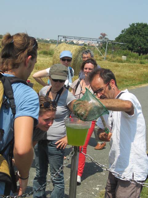 Animation station de lagunage ©LPO