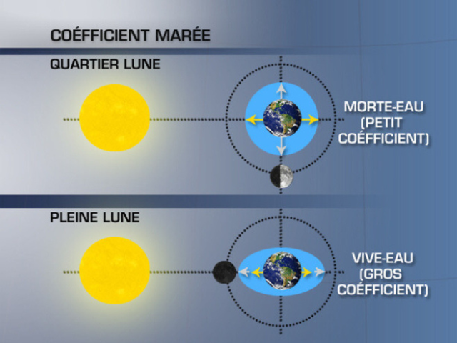 Phases de lune et marées
