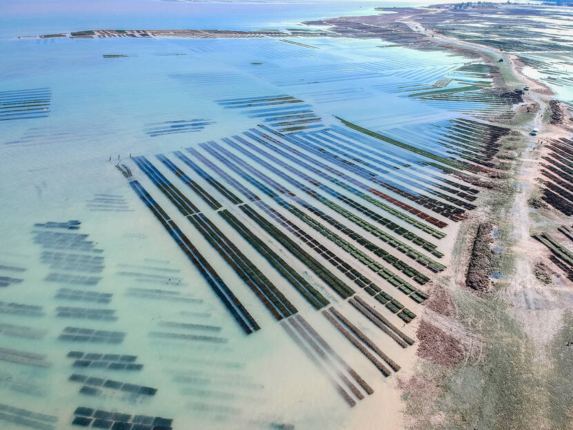 Vue aérienne de l'estuaire de la Charente et des parcs ostréicoles ©LPétillon