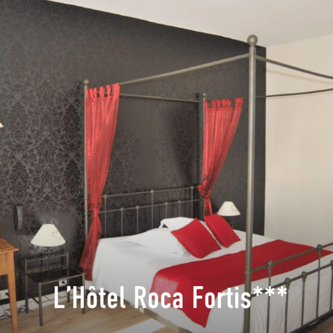 L'Hôtel Roca Fortis*** à Rochefort 
