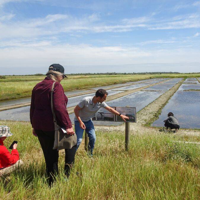 Le marais salant de la ferme aquacole de l'île madame à Port-des Barques © Cécile Cailhol - OTRO