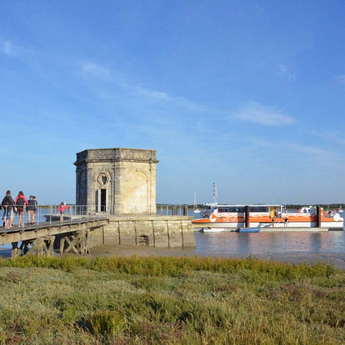 Croisière au départ de Saint-Nazaire-sur-Charente © Samuel Courtois