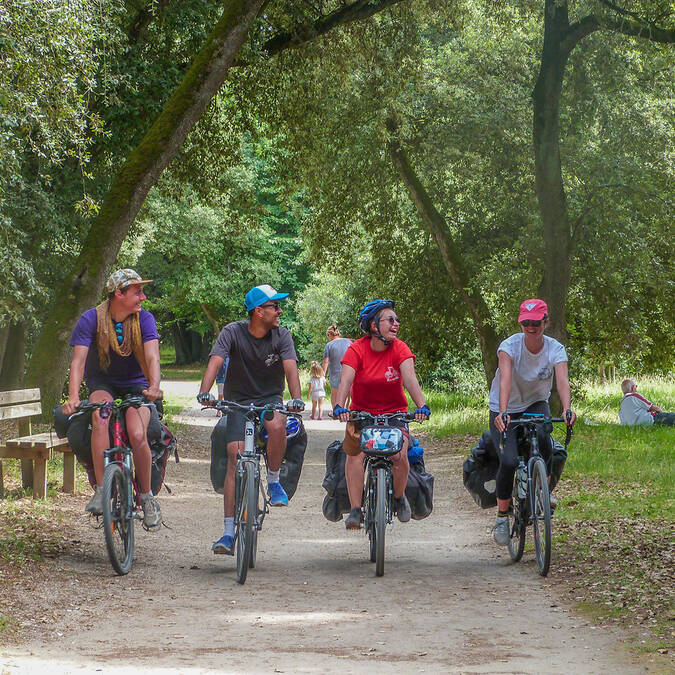 Voyageurs à vélo dans les allées du bois vert