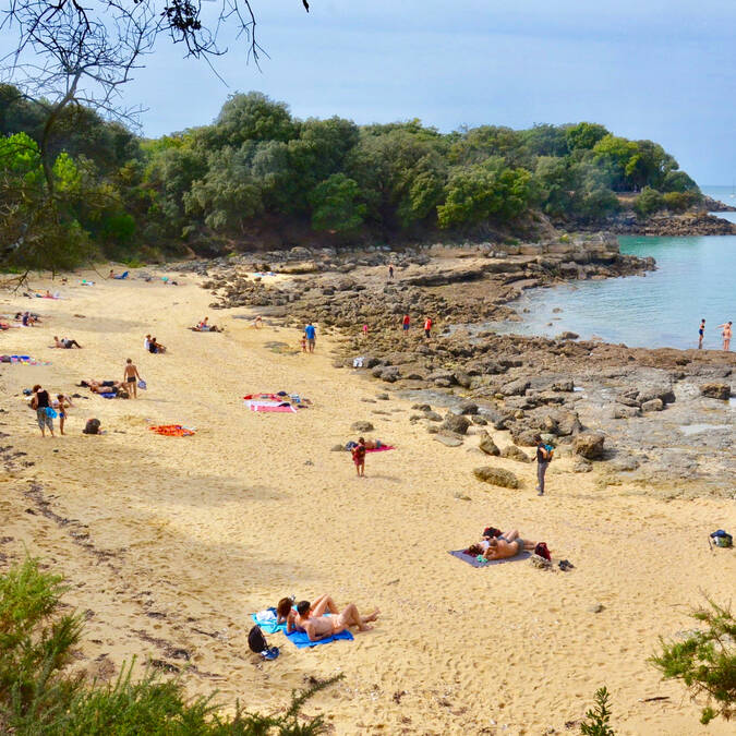 Petite crique paradisiaque de l’île d’Aix