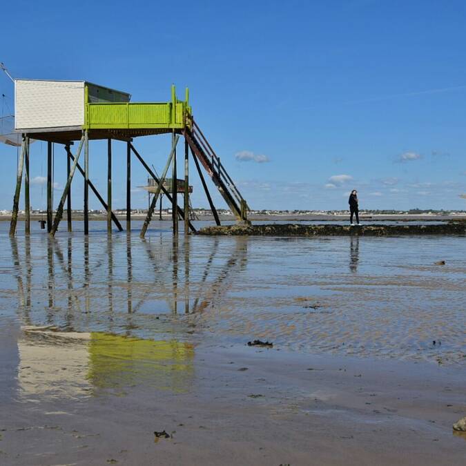 Carrelet vert de l'Île Madame