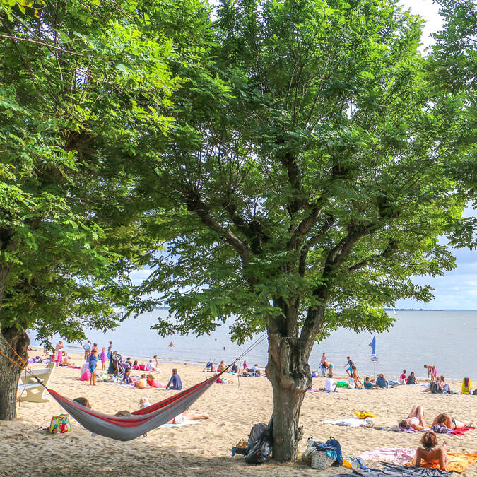 Plage sud de Fouras-les-Bains à l'ombre des faux acacias ©J.Paulet