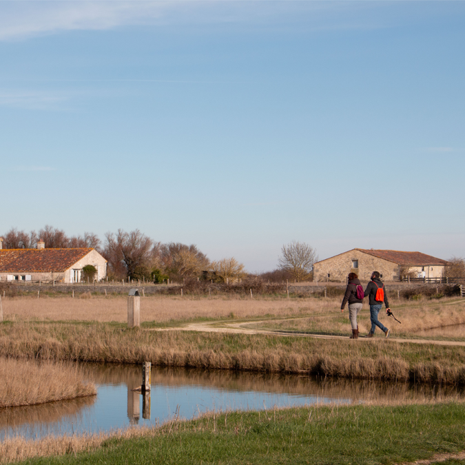 Réserve naturelle de Moëze-Oléron