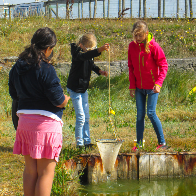 Pêche à la crevette