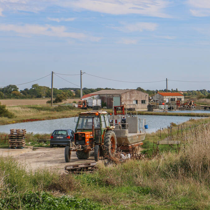 Zone ostréicole de Montportail à Port-des-Barques