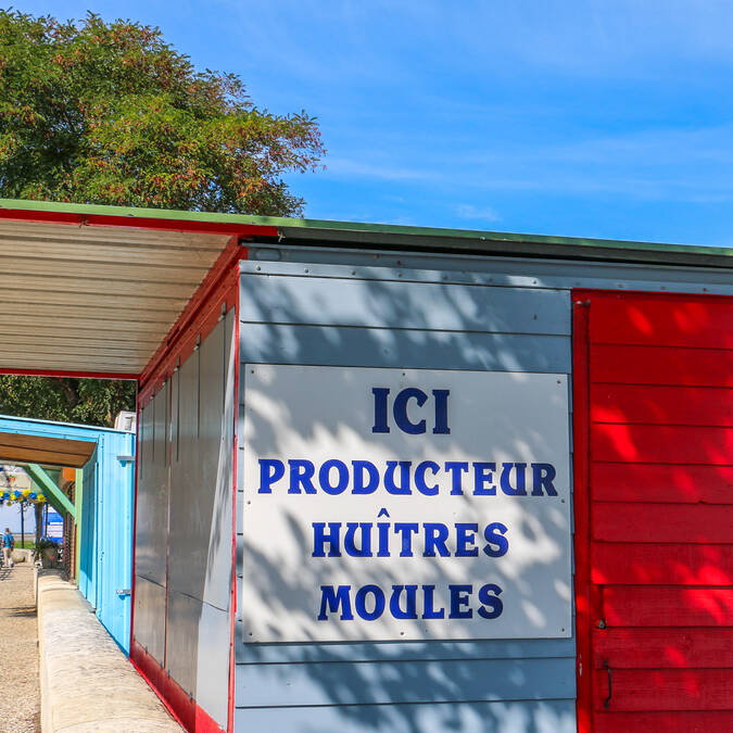 Ostréiculture 