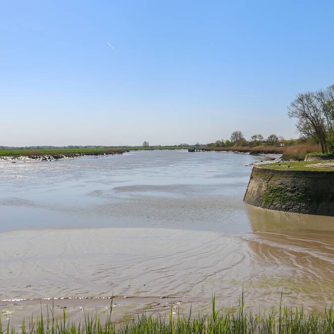  rochefort-ocean-rochefort-charente-naturecjuliepaulet-otro