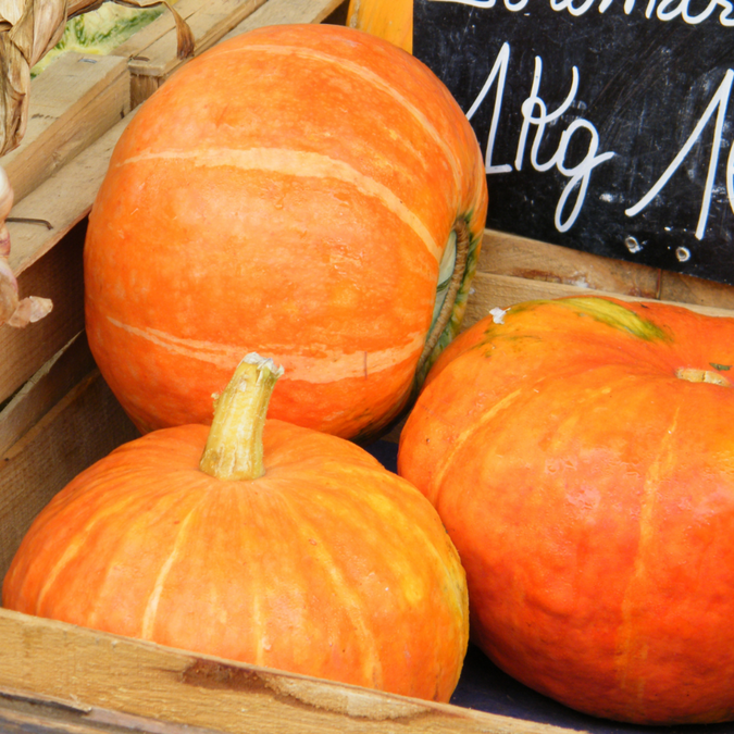 Marché de Rochefort à l'automne