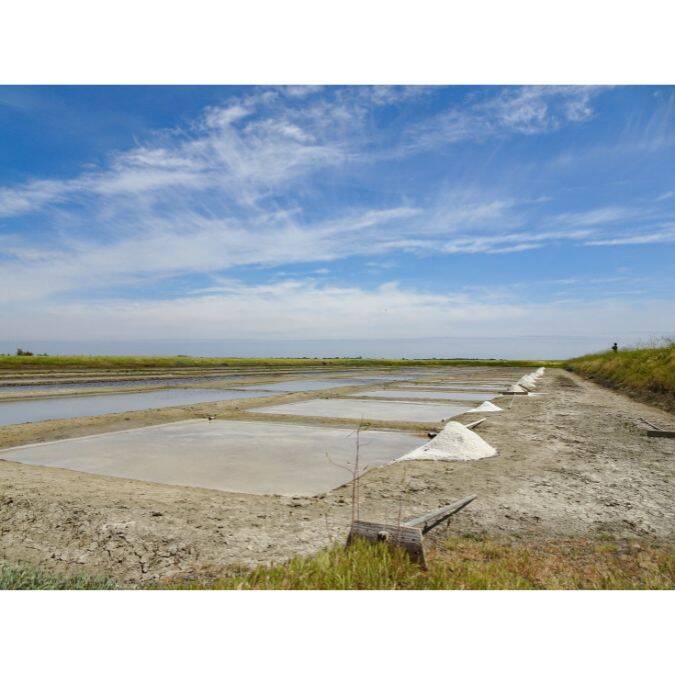 Le marais salant de la ferme aquacole de l'île madame à Port-des Barques © Cécile Cailhol - OTRO